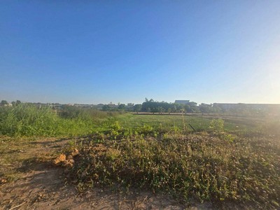 sss522 ขายที่ดินคลอง 1 ซอยเทพกุญชร  ติดพิพิธภัณฑ์การเกษตรฯ