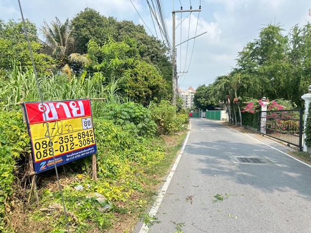 ขายที่ดิน 270 ตารางวา  ซอยสุขใจ  ถนนเลี่ยงเมืองชลบุรี   หนองไม้แดง   ชลบุรี  ZT885