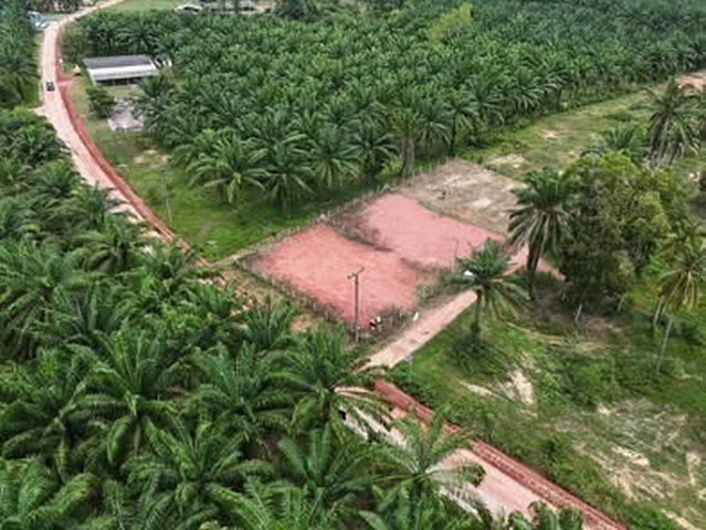 บอกขายที่ดินทำเลดีราคาคุยได้  ที่ติดทะเล ฝั่งแดง ขายราคาไร่ล่ะ 3.5 ล้านบาท โฉนดครุฑแดง พร้อมโอน