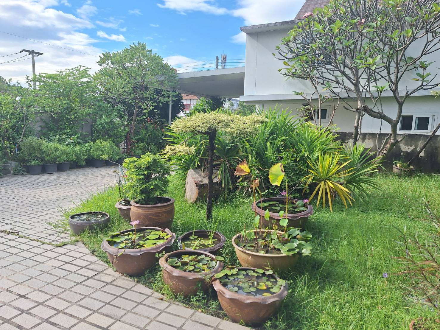 ขายที่ดินพร้อมบ้าน 2 หลัง หมู่บ้านเมืองเอก ใกล้ตลาดสัมมากร มหาวิทยาลัยรังสิต