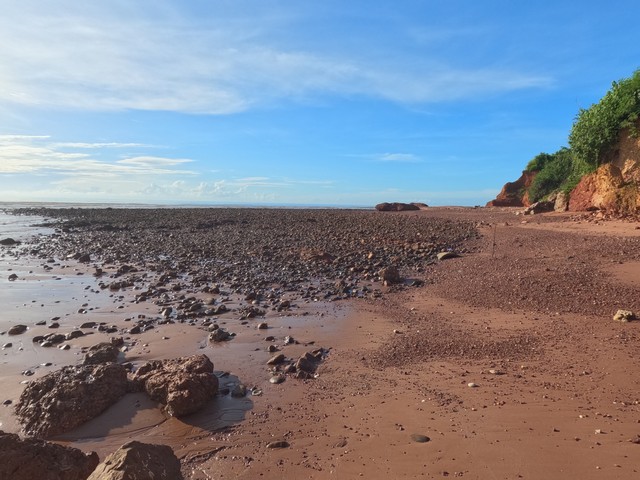 ที่ดินบ้านพร้อมโอนเจ้าของขายเอง ที่ติดทะเล ฝั่งแดง ขายราคาไร่ล่ะ 3.5 ล้านบาท โฉนดครุฑแดง พร้อมโอน