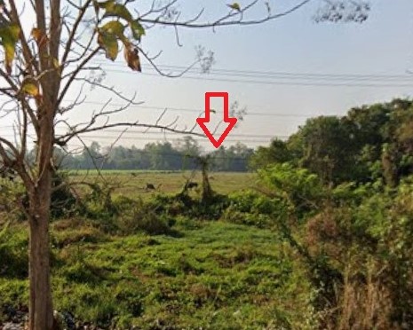 ที่ดินเปล่าดอยสะเก็ด เชียงใหม่ ติดทางหลวงหมายเลย 118 ราคาดีสุดๆ