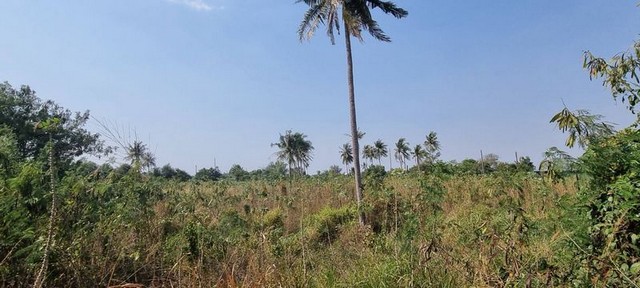 ขายที่ดินหนองขาม ศรีราชา ชลบุรี แปลงสวย ห่างถนน331เพีย 3 กม. FP-L01899