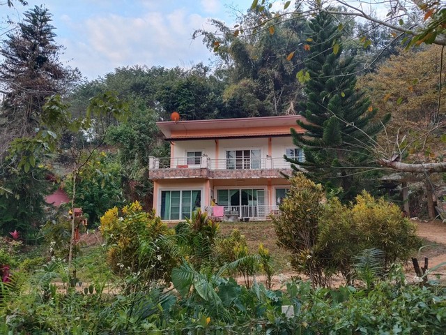 ขายบ้านพร้อมที่ดิน สามเหลี่ยมทองคำ อำเภอเชียงแสน จังหวัดเชียงราย เนื้อที่ 1 ไร่