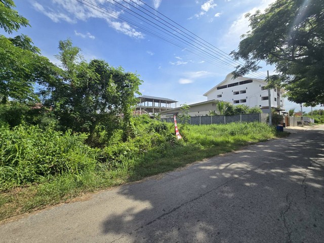 ขายถูก ที่ดินเปล่า คลองหลวง ปทุมธานี 208.4 ตร.ว แปลงสวย ใกล้วัดธรรมกาย