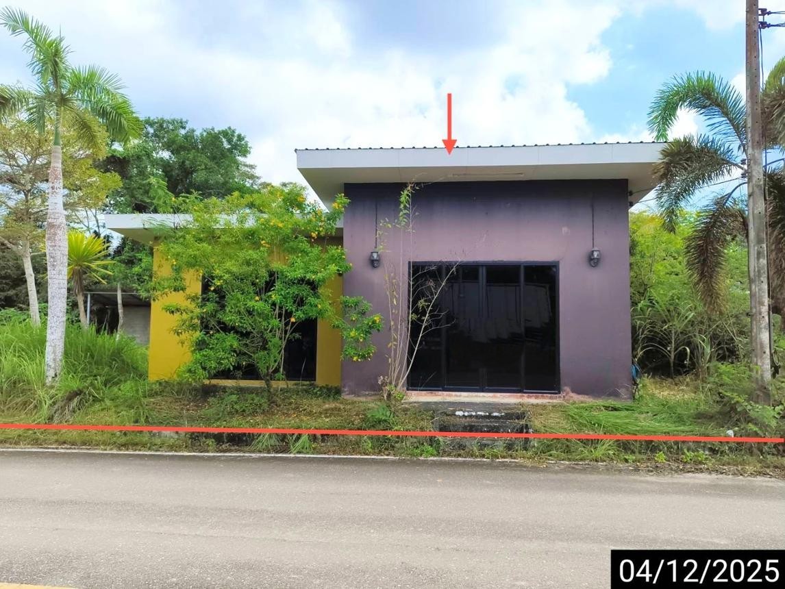 ขาย บ้านเดี่ยว สุราษฎร์ธานี  อำเภอ พนม จังหวัด สุราษฎร์ธานี