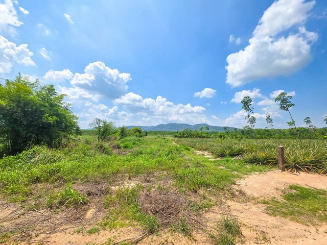ขายที่เพียง 390000 บาท/ไร่ ที่ดินเปล่า อำเภอบ้านค่าย