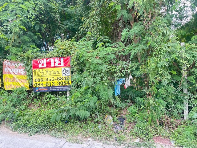 ขายที่ดิน 102 ตารางวา  ทาวน์​อินทาวน์​ ซอยพระยาประเสริฐ​  ลาดพร้าว วังทองหลาง   ZT904