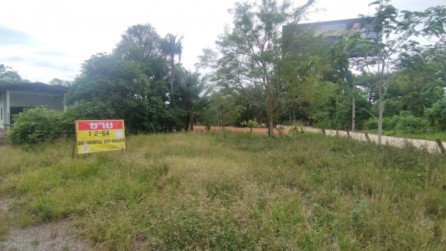 ขายที่ดิน 1-2-64 ไร่ พร้อมบ้าน  ใกล้ท่าอากาศยานนานาชาติสุราษฎร์ธานี