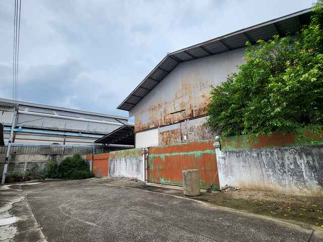 ขายโกดัง ถนนเพชรเกษม สามพราน ท่าข้าม พื้นที่ใช้สอยรวมกว่า 540 ตร.ม. ทำเลใกล้เพชรเกษม ราคา 4.9 ลบ.