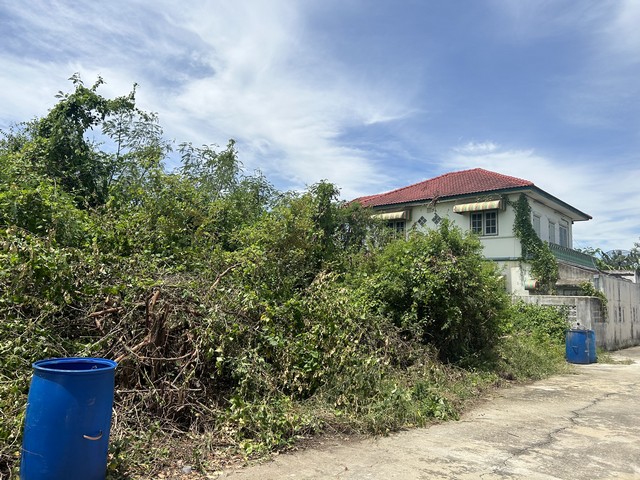 2366 ขายด่วน ที่ดิน หมู่บ้านกำแพงแสนกรีนแลนด์ ดีดี