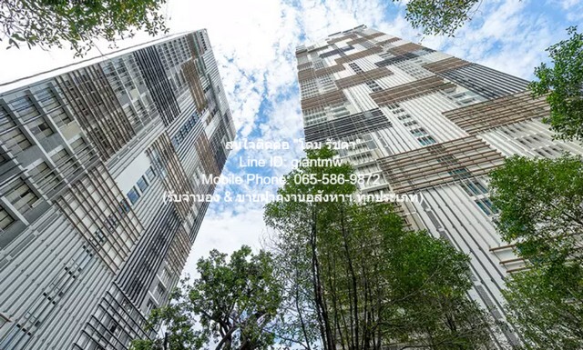 ประกาศให้เช่า Condominium พาร์ค ออริจิ้น ทองหล่อ 52000 BAHT.  พื้นที่ 56 square meter   ราคาดีเยี่ยม