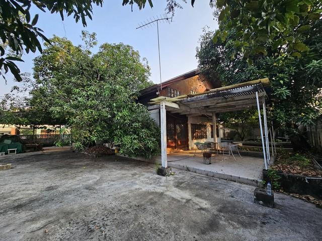 ให้เช่าที่ดิน 202 ตรว. แปลงมุม ซ.วชิรธรรมสาธิต 23 สุขุมวิท 101-1 ใกล้ร้านส้มตำคุณกัญจ์