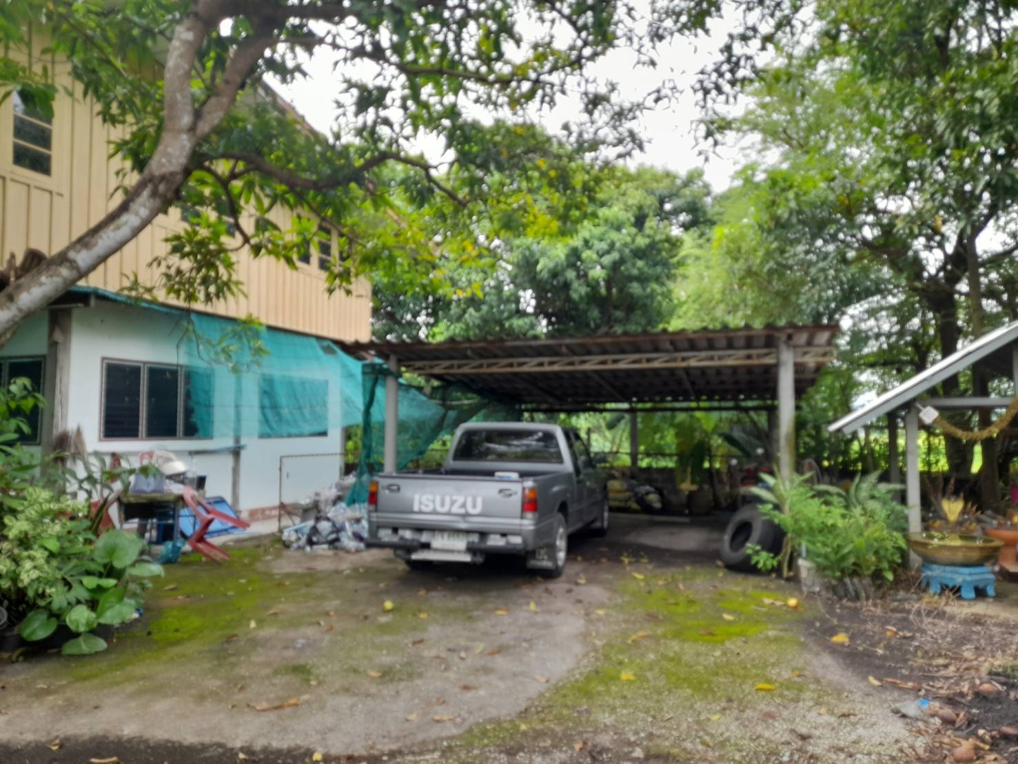 ขายที่ดิน พร้อมบ้าน 2 หลัง 1-0-25 ไร่ อ.ปากพลี จ.นครนายก