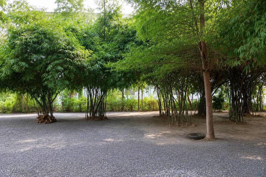 ขายที่ดินเปล่า 123.2 ตร.ว. (แปลงC) คานหาม อุทัย อยุธยา ใกล้โรจนะ มีไผ่หวาน ราคา 1.49 ล้านบาท Tel.0949287889