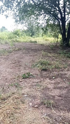 สู่ยุคหาทรัพย์ดีเอื้อเศรฐกิจ  ขายที่สวยติดทางหลวง1107 บ้านตาก จ.ตาก คมนาคมสะดวก ไร่ละ 300000 ต.ตากตก อ.บ้านตาก  จ.ตาก  0837124115