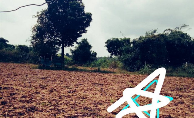 ฝากไว้ให้พิจารณานะคะ ขายที่สวยติดแม่น้ำน่าน ชุมแสง  จ.นครสวรรค์ 300000 บาท.วิวแม่น้ำเกษตรดีงามสวยสมบูรณ์