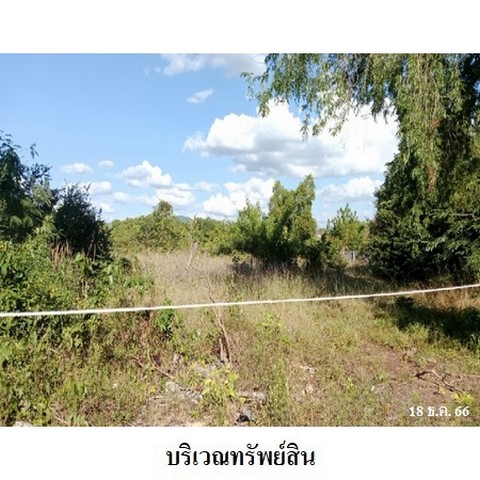 ขายที่ดินว่างเปล่า ถนน เลียบหาดแม่รำพึง ตำบล ตะพง อำเภอ เมืองระยอง จังหวัด ระยอง