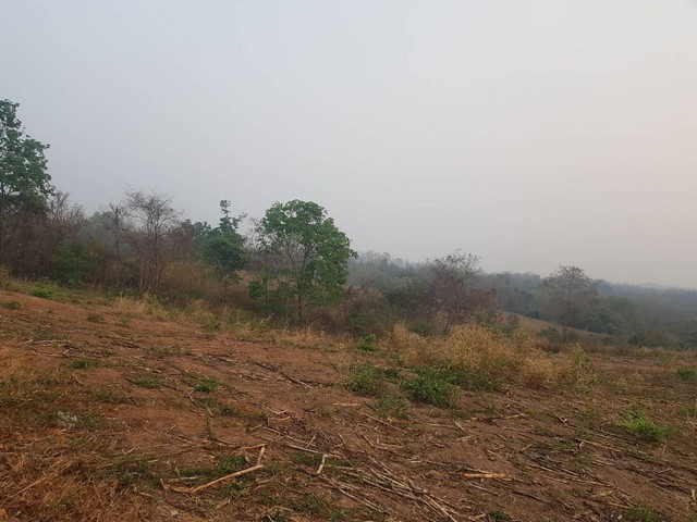 พรีเซ้นทรัพย์ทำเลทองใกล้สิ้นปี ธรรมชาติเนินเขา ที่ดินโฉนดแบ่งขาย หล่มเก่า เพชรบูรณ์ ใกล้ภูทับเบิก โทร 0968821857