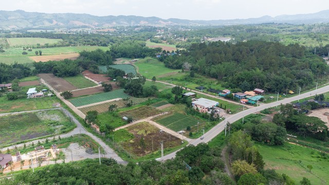 ขายที่ดินเขาค้อ นะโมแลนด์ Phase 3-1 เริ่ม 400 ตร.ว. ทำเลทุ่งสมอ บรรยากาศภูเขาและพื้นที่สีเขียว ราคา 11250 บาท-ตร.ว.