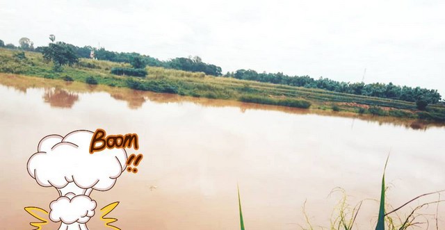 สนใจมีที่สวยๆสักแปลงโซนนี้ไหม ขายที่สวยติดแม่น้ำน่าน ชุมแสง  จ.นครสวรรค์ 300000 บาท.วิวแม่น้ำเกษตรดีงามสวยสมบูรณ์