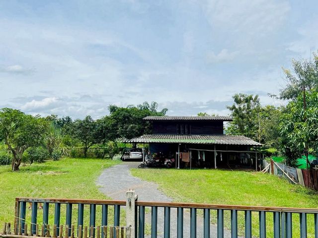 คุ้มสุดๆ #ขายที่ดินแถมบ้านฟรี! ขายเพียง 2 ล.เท่านั้น 200 ตรว. สันทราย แถมบ้าน 1 หลัง มีผู้เช่าอยู่ รายได้ต่อเนื่อง หลังม.แม่โจ้ เพียง 5 นาที