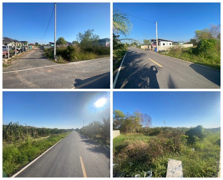 ขายยกที่ดิน 2 แปลงติด ต.หนามแดง อ.เมือง จ.ฉะเชิงเทรา เนื้อที่รวม 3-1-72.2 ไร่ โทร 096-0124534