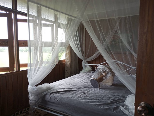 ใกล้ปีใหม่ดูทรัพย์มีมูลค่า ให้เช่าบ้านไม้ถ่ายหนังถ่ายละคร MV โฆษณา หนังสั้น คอนเท้นท์ บ้านสวยวิวทุ่งนา ไทรน้อย 0968821857