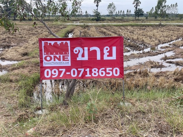 ขายด่วนที่ดินเปล่า ต.ดอนยาวใหญ่ อ.โนนแดง เนื้อที่ 11 ไร่ 93 ตร.ว. เพียง 1.1 ลบ.
