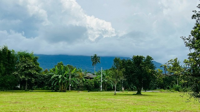 ที่ดิน -  2200000 บาท   เข้าออกได้หลายทาง วิวเขา ติดลำธาร ใกล้เขาใหญ่ สวนทุเรียน สวนผลไม้