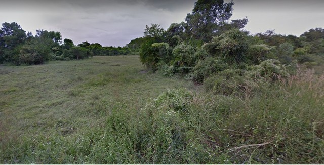 ขายที่ดินเปล่า 30 ไร่ 1 งาน อำเภอเมืองตราด ใกล้แม็คโครสาขาตราด ใกล้สถานีขนส่ง ทำเลดี เหมาะทำรีสอร์ท หรือธุรกิจอื่นๆ