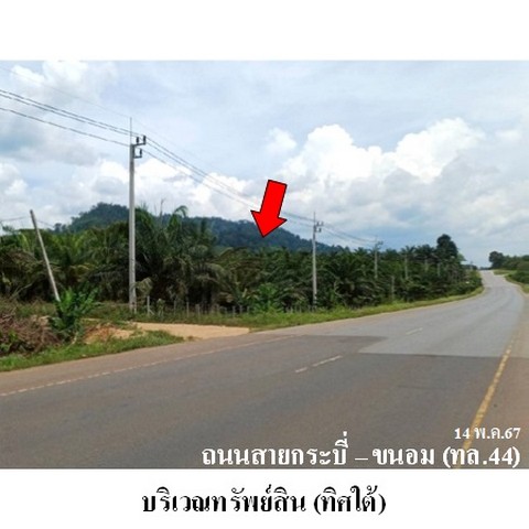 ขายที่ดินว่างเปล่า ถนน สายกระบี่-ขนอม (ทล.44) ตำบล บางสวรรค์ อำเภอ พระแสง จังหวัด สุราษฎร์ธานี