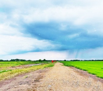 ถูก 4.5แสนต่อไร่ แปลงละ2ไร่ บ้านนา นครนายก  ที่ดินทำเกษตร บ้านสวนใกล้กรุงฯ T o86-3ol-6l6l