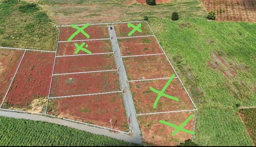 ขายที่ดิน 1ไร่ 3ลบ. ฟรีโอน วิวเขา ถนน น้ำ ไฟฟ้า ถ.หนองสาหร่ายวังน้ำเขียว ต.คลองม่วง อ.ปากช่อง นครราชสีมา