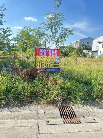 ขายที่ดิน 392 ตารางวา  ถนนเฉลิมพระเกียรติร.9  ซอย 48 แยก7  ประเวศ กรุงเทพ   ZT874