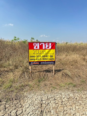ขายที่ดิน 200วา  ซอยบางนาตราด กม.44  ซอยบุญชนะ 10  บางเกลือ  บางปะกง   ฉะเชิงเทรา   ZT901