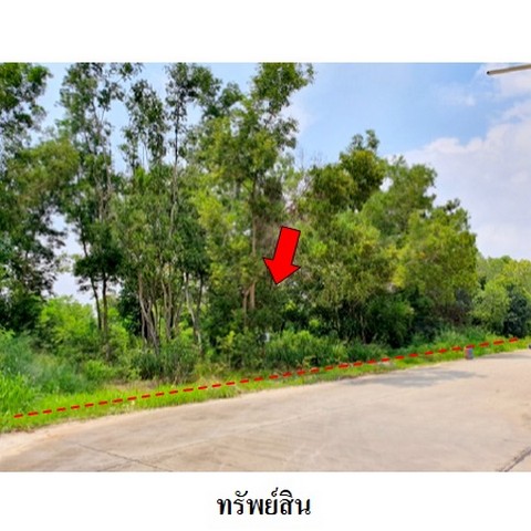 ขายที่ดินว่างเปล่าโครงการ สวนวลีแลนด์ 4 ถนน สายบางละมุง-ระยอง (ทล.36) ตำบล ทับมา อำเภอ เมืองระยอง จังหวัด ระยอง