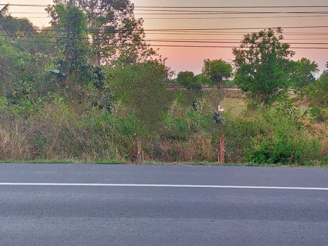 ขายที่ดิน ติดถนนสายสุรินทร์-ท่าตูม  เมืองสุรินทร์  ราคาโปรโมชั่น