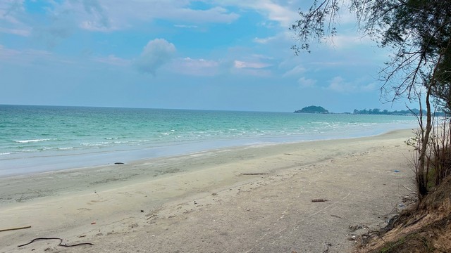 บอกขายที่ดินทำเลดีราคาคุยได้  ขายที่ดินใกล้หาดบางเบิด ติดถนนทางหลวง ใกล้หาด1 กม. +ขนาดที่ดิน 50-1-18 ไร่ โฉนดครุฑแดง พร้อมโอน ไร่ล่ะ 8 แสน