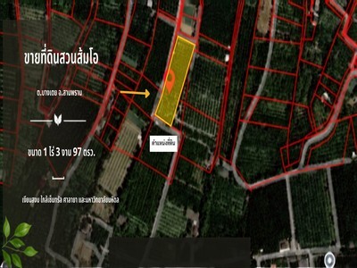 ห้ามพลาด ราคาดีมาก !! ที่ดินสวนส้มโอแปลงสวย ขนาด 1 ไร่ 3 งาน 97 ตร.วา เหมาะสำหรับทำสวน ทำบ้านสวน ปลูกบ้านได้ ทำเลดี บรรยากาศเงียบสงบร่มรื่น