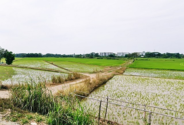 2 ขาย ที่ดิน ที่ดิน พิจิตร 3 ไร่ 1200 ตร.วา ชั้นที่ 1