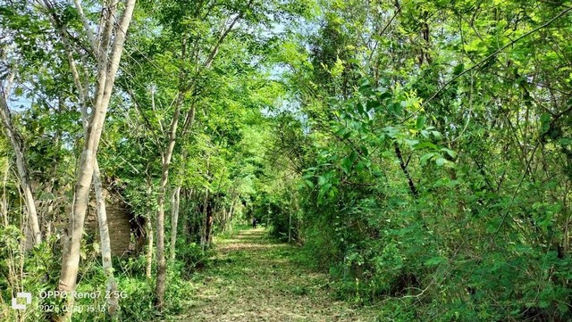 ขายที่ดินจังหวัดหนองคาย ขายที่ดินคุณภาพ 8-1-92 ไร่ พร้อมแนวคิดชีวิตยั่งยืนและอนาคตที่ออกแบบได้