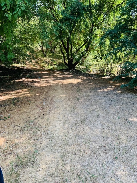 ขายที่ดิน เพชรบูรณ์ จำนวน 23-2-5 ตารางวา ไร่ละ45000บาท