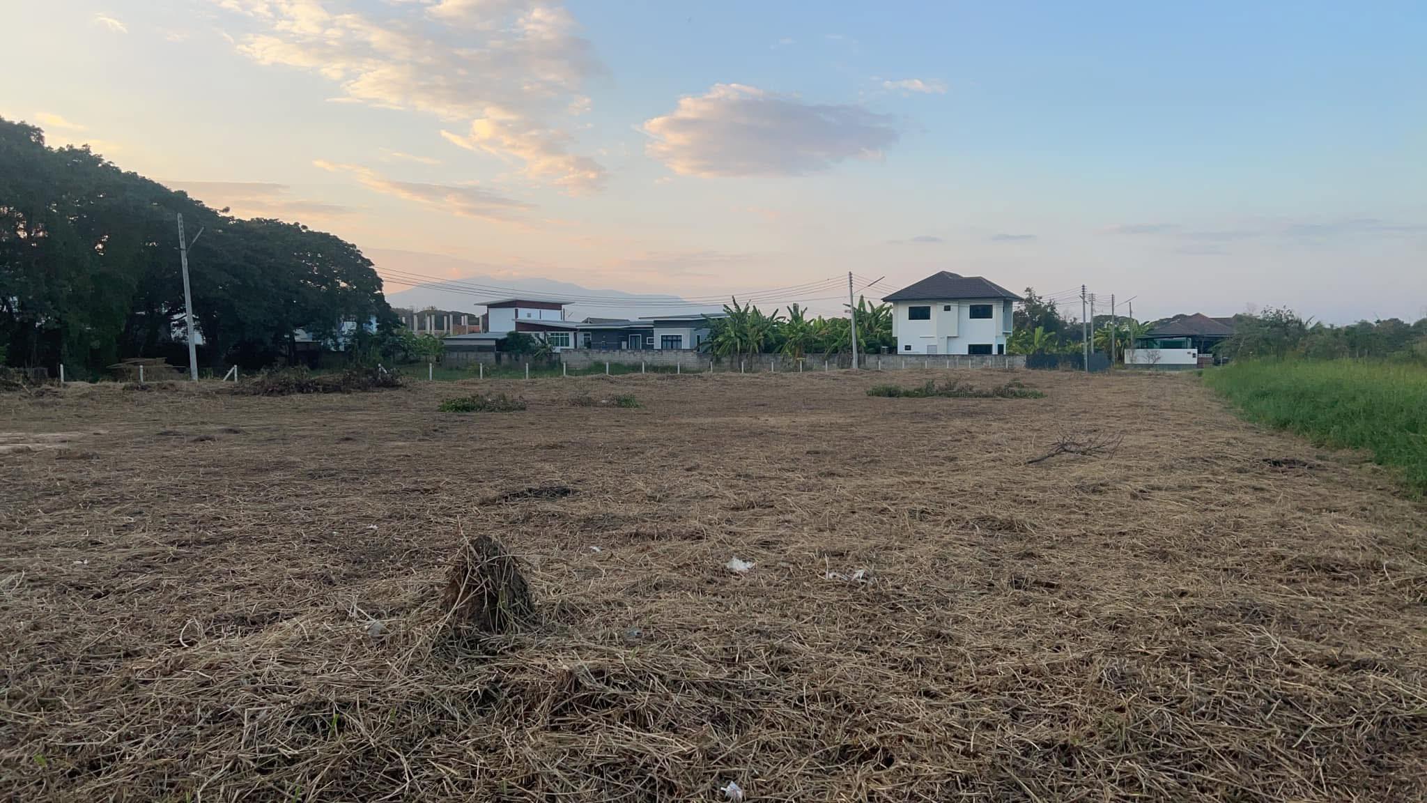 ทรัพย์ Passive Income ตัวจริง – สารภี ติดซุปเปอร์ไฮเวย์ 11 ขนาด 2 ไร่ 1 งาน 42 ตร.วา