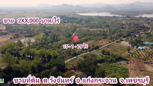 ขายที่ดิน แก่งกระจาน เพชรบุรี ราคาถูก 15 ไร่ ติดถนนลาดยาง 3 ด้าน ไฟฟ้าประปาครบ ไร่ละ 2แสนกว่าขายที่ดินราคาถูก ต่ำกว่าราคาตลาด