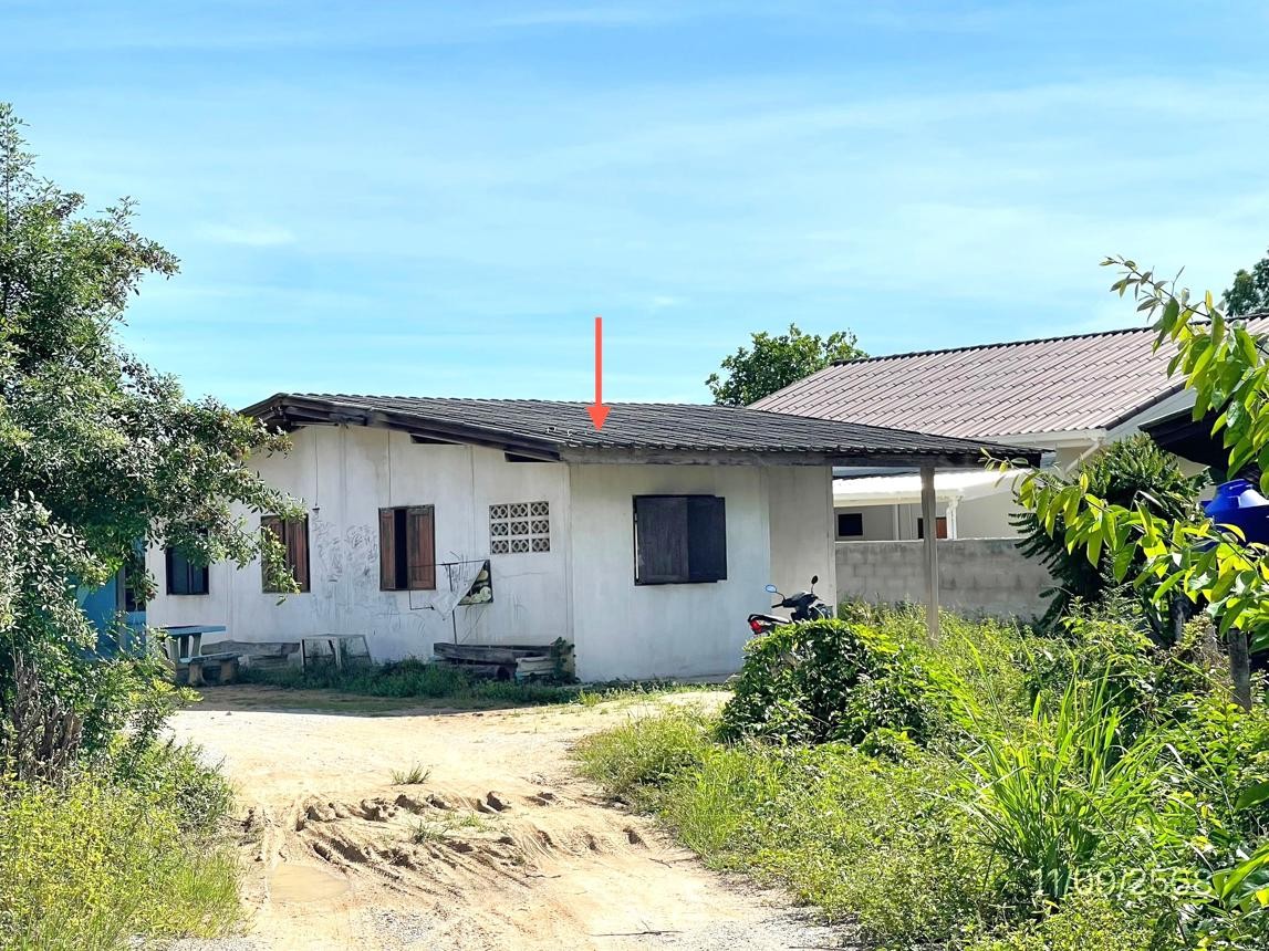 ขายบ้านเดี่ยว ชลบุรี ถนน หนองคล้าใหม่  อำเภอ ศรีราชา จังหวัด ชลบุรี