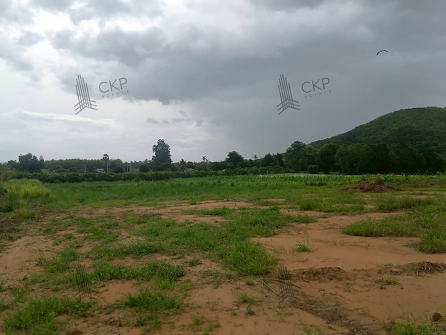 ที่ดินเปล่า เนื้อที่ขนาด 2 ไร่ ใกล้ถนนทางไปน้ำตกป่าละอู ไม่ไกลจากแหล่งท่องเที่ยว