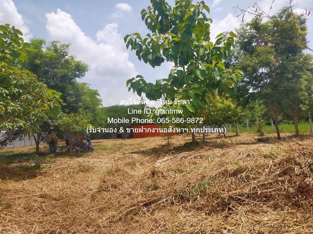 ที่ดิน ขายที่ดินเปล่า 1-0-14.5 ไร่ (414.5 ตร.ว.) ซ.สุวินทวงศ์ ใกล้สนามกอล์ฟฟินิกซ์ โกลด์ กอล์ฟ แบงค็อก เข้าอยู่ได้ทันที กรุงเทพ