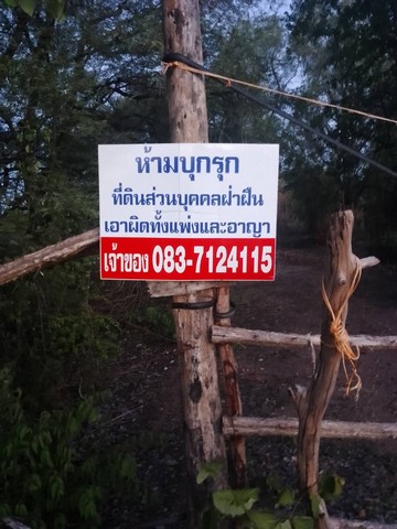 จากใจคนขายถึงใจผู้ซื้อ  ขายที่สวยติดทางหลวง1107 บ้านตาก จ.ตาก คมนาคมสะดวก ไร่ละ 300000 ต.ตากตก อ.บ้านตาก  จ.ตาก  0837124115