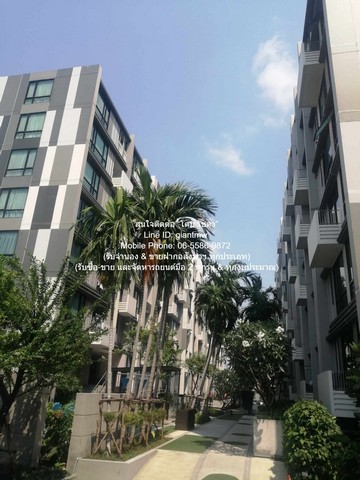 คอนโด ESTA BLISS RAMINTRA ใหญ่ขนาด 47 ตร.-ม. 2 BEDROOM 2 ห้องน้ำ 3000000 BAHT ใกล้ รามอินทรา 88 สภาพแวดล้อมดี
